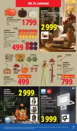 Lidl akciós újság hét 35 Oldal 59: LIVARNO Napelemes LED-dekorfigura €2.999,00, LIVARNO LED-es reflektor €3.999,00