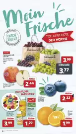 Famila Nord West Prospekt woche 35 Seite 4
