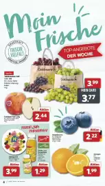 Famila Nord West Prospekt woche 35 Seite 4