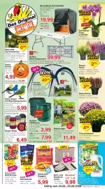Wiglo Wunderland Prospekt woche 35 Seite 1