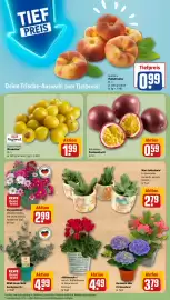 REWE DE tilbudsavis uge 35 Side 7: Passionsfrucht €0,59, Rewe Regional Mirabellen €1,99