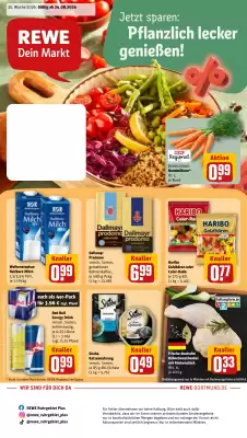 REWE DE (gælder indtil 30-08)