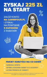 Carrefour gazetka Strona 19