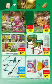 Carrefour gazetka Strona 8: Cebulki jesiennie na sztuki różne rodzaje €0,59, Nawóz jesienny UNIWERSALNY €11,99