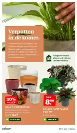 Welkoop folder Pagina 16