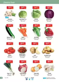 Qanto leták Strana 38: Zelí bílé €14,90, Salát ledový €29,90