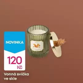 Pepco leták Strana 3