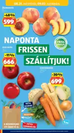 ALDI akciós újság hét 35 Oldal 22