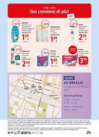 Volantino dm drogerie markt Pagina 16: Carefree salvasilip €1,89, Scottex Amore di casa carta da cucina €3,99