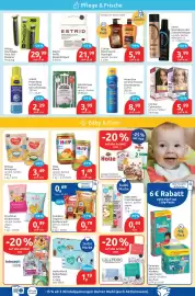 Budni Prospekt woche 36 Seite 3