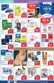 Budni Prospekt woche 36 Seite 5