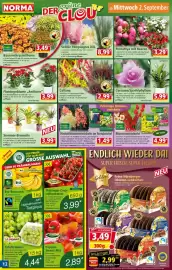 Norma Prospekt woche 36 Seite 12