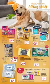Rossmann Prospekt Seite 17