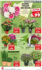 Kaufland Prospekt woche 35 Seite 25
