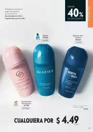 Catálogo Oriflame Página 29