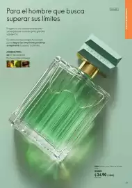 Catálogo Oriflame Página 31