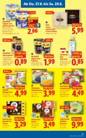 Lidl Flugblatt woche 35 Seite 13