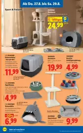 Lidl Flugblatt woche 35 Seite 22: ZOOFARI Kratzbaum €24,99, ZOOFARI Katzen toilette/ -transportbox €11,99