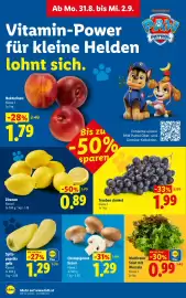 Lidl Flugblatt woche 35 Seite 41