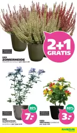 Ranzijn folder Pagina 12