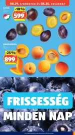 ALDI akciós újság hét 34 Oldal 15