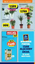 ALDI akciós újság hét 34 Oldal 31