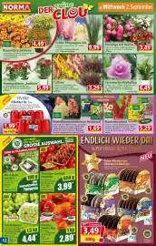 Norma Prospekt woche 36 Seite 12