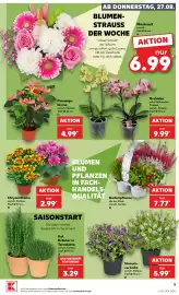Kaufland DE folder week 35 Pagina 5