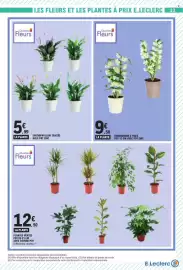 Catalogue E.Leclerc page 23: Quartier Fleurs LA PLANTE €12,50, Quartier Fleurs DENDROBIUM 2 TIGES €9,50