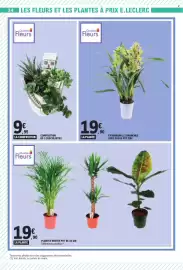 Catalogue E.Leclerc page 24: Quartier Fleurs Cymbidium €19,90, Quartier Fleurs PLANTES VERTES €19,90