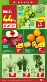 Aldi Nord Prospekt woche 36 Seite 3