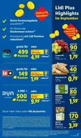 Lidl Prospekt Seite 29