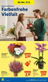 Lidl Prospekt Seite 26
