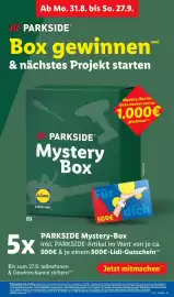 Lidl Prospekt Seite 41