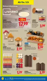 Lidl Prospekt Seite 46