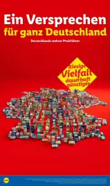 Lidl Prospekt Seite 66