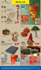 Lidl Prospekt Seite 49
