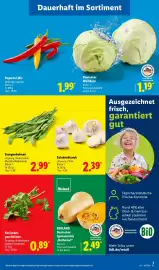 Lidl Prospekt Seite 7
