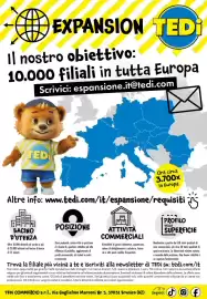 Volantino Tedi settimana 34 Pagina 17