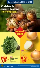 Lidl gazetka Strona 38: Sałata masłowa z korzeniem polska €3,99, Cebula żółta luzem polska €1,99