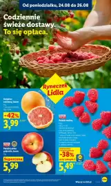 Lidl gazetka Strona 39: Grejpfrut czerwony luzem €3,99, Polskie maliny €5,49