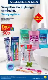 Lidl gazetka Strona 89: Dentaulx