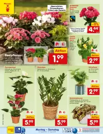 Netto Marken-Discount DE folder week 35 Pagina 19