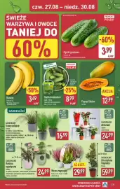 ALDI gazetka tydzień 35 Strona 35: Ogórki małosolne €8,99, Ogórki gruntowe €3,99
