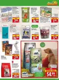 Herkules Baumarkt Prospekt woche 35 Seite 11
