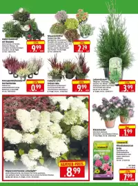 Herkules Baumarkt Prospekt woche 35 Seite 2