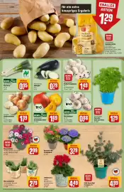 REWE Center Prospekt woche 35 Seite 7