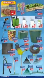 CENTERSHOP Prospekt woche 35 Seite 10