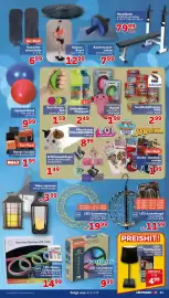 CENTERSHOP Prospekt woche 35 Seite 13