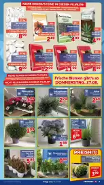 CENTERSHOP Prospekt woche 35 Seite 9